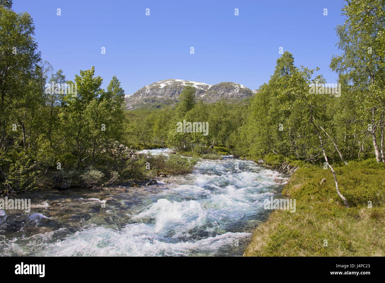 Norvegia Sogn og Fjordane, fiume, paesaggi, Foto Stock