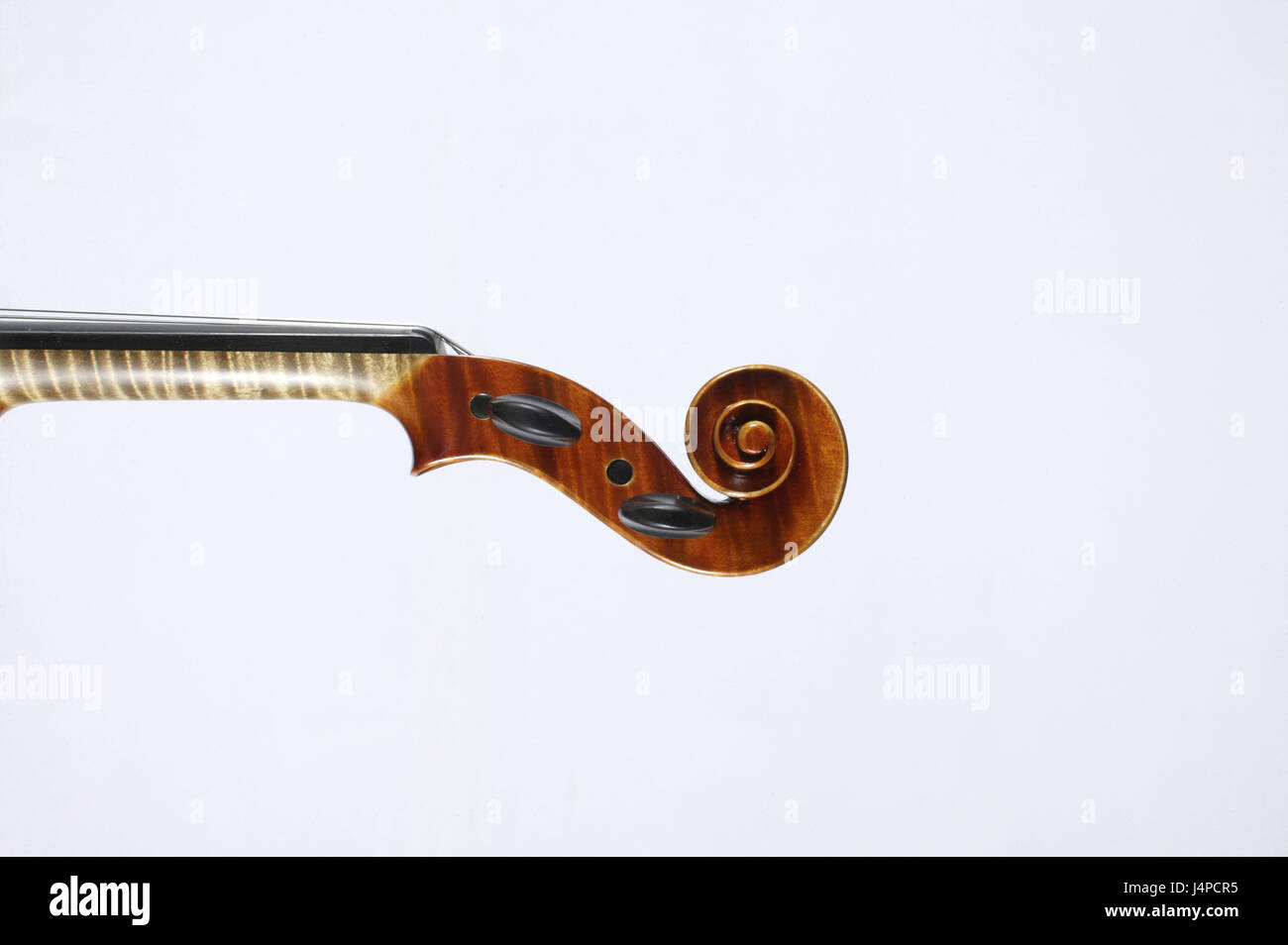 Violino escargot, dettaglio Frei della targa, Foto Stock