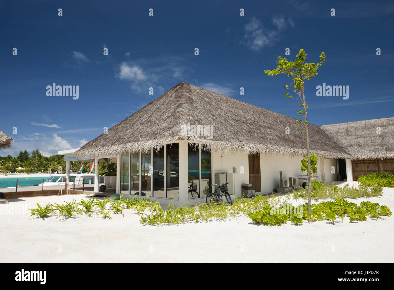 Scuola Subacquea, isole Maldive Kandooma, Maldive, sud volte atoll, Foto Stock