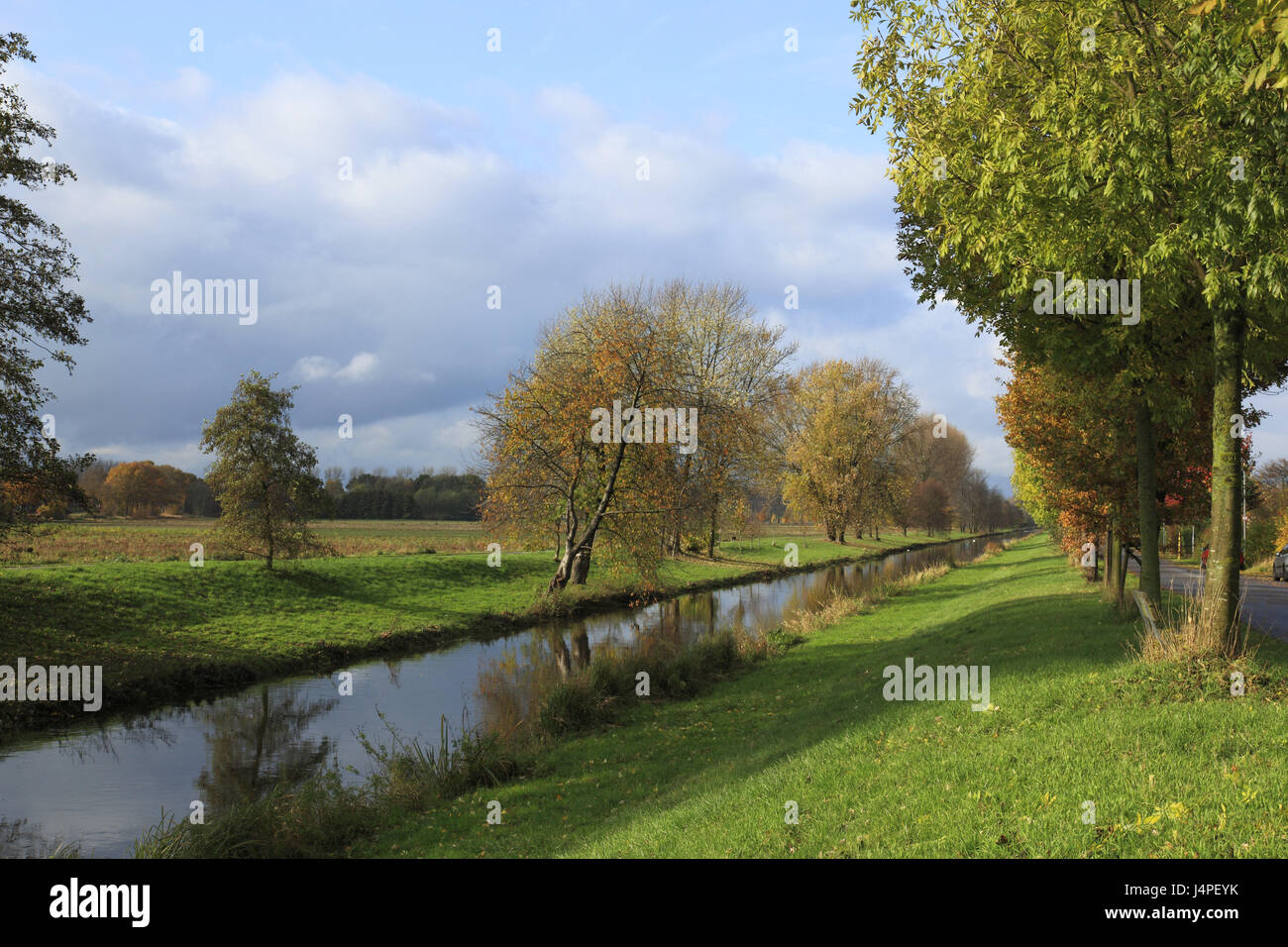 In Germania, in Renania settentrionale-Vestfalia, prato, fiume, Viersen, Willich, Willich-Neersen, Niers, Basso Reno, paesaggio fluviale, embankment Niers, canale, fiume, acque, Basso Reno scenario, autunno autunno colorazione, natura, paesaggi di prato, al di fuori di alberi e foglie di colorazione, embankment, paesaggio fluviale, River Valley, Riverside, idillio, scenario, Foto Stock