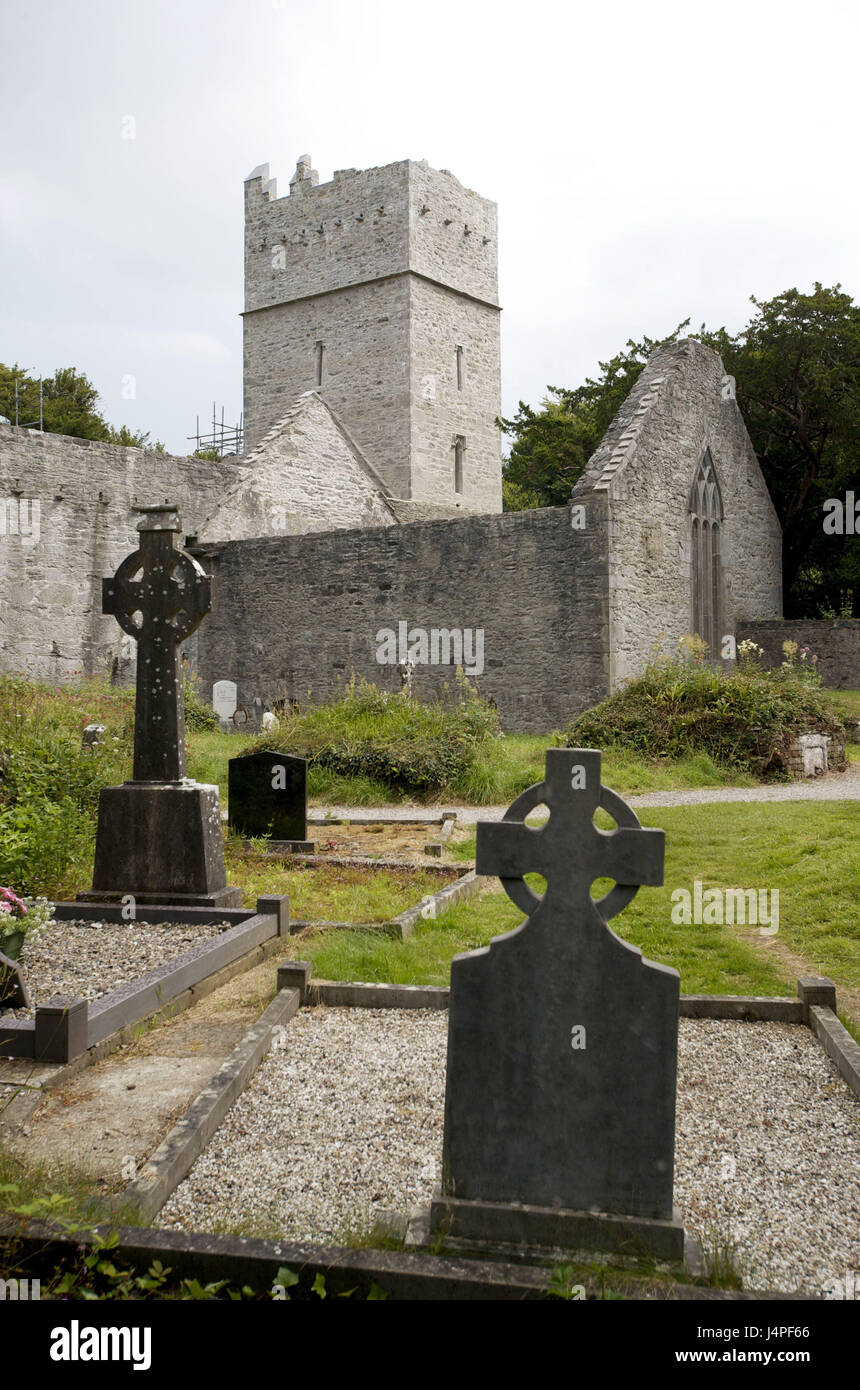 Irlanda, Munster, nella contea di Kerry, parco nazionale di Killarney, Muckross Abbey, Foto Stock
