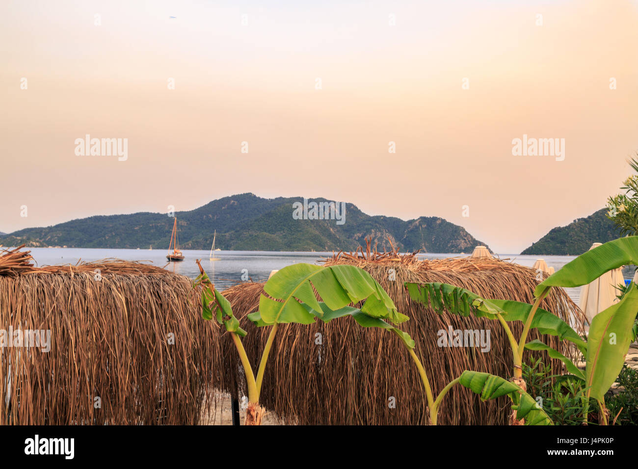 Il tiglio di spiaggia ombrelloni con alberi di banane durante il tramonto Foto Stock