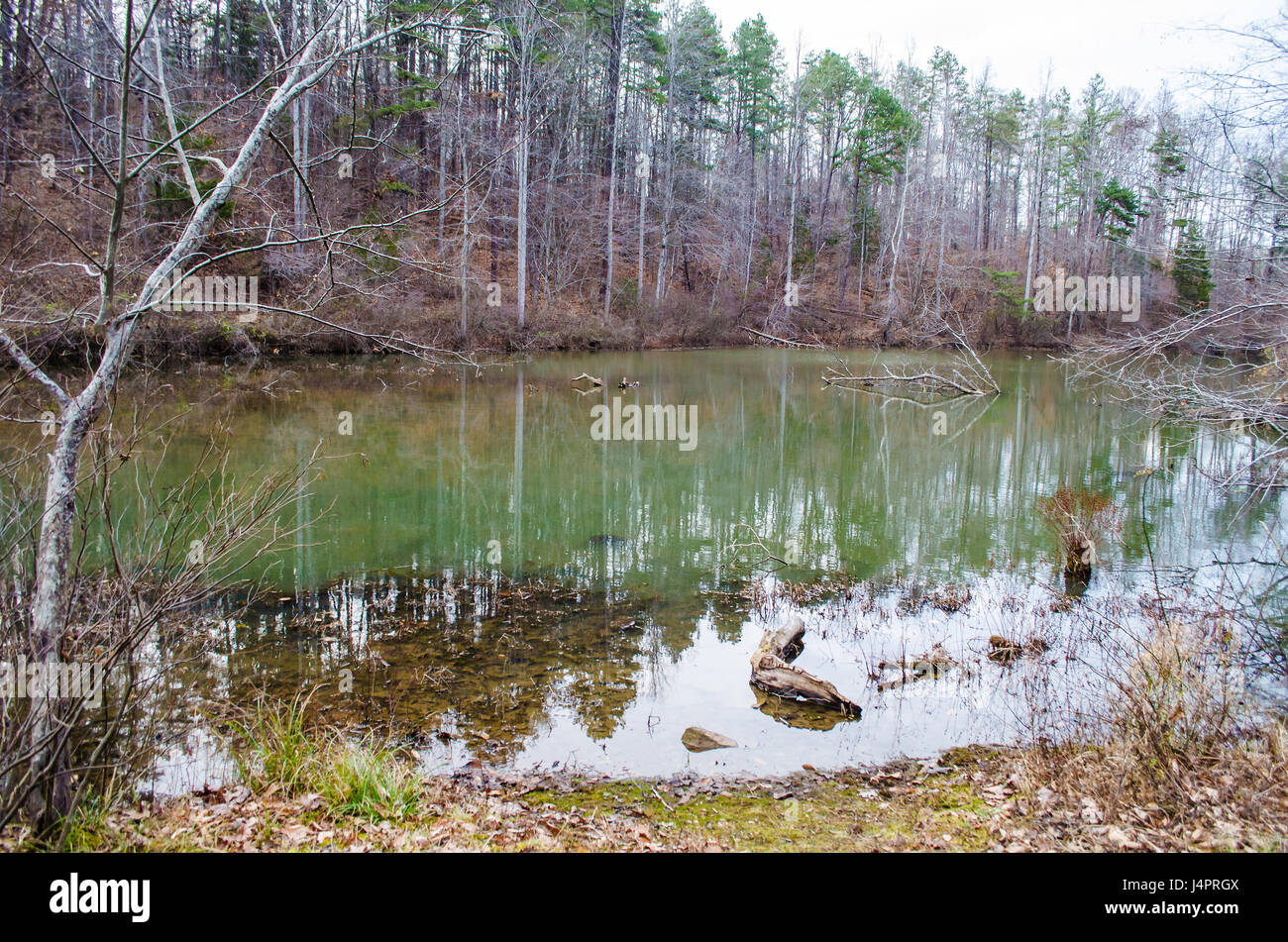 Il paesaggio rurale in Virginia durante il periodo estivo con calma verde tranquillo lago nella Ivy Creek Park durante il periodo invernale Foto Stock