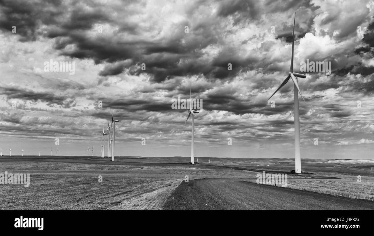 Il potere di vento sulla Palouse area dello stato di Washington. Foto Stock