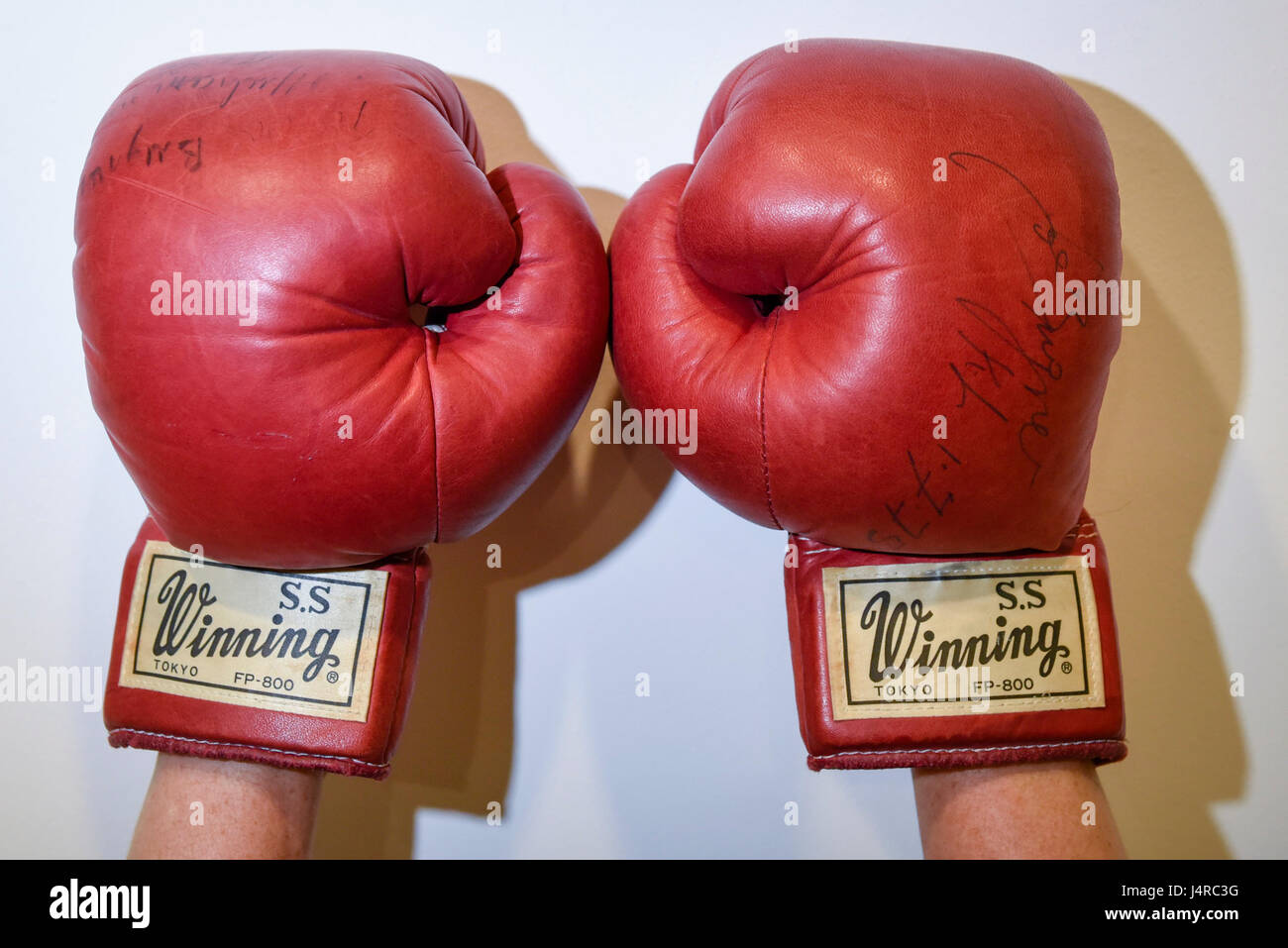 Londra, Regno Unito. 14 maggio 2017. Un paio di guanti da boxe usurato e  firmato da Muhammad Ali nel World Heavyweight Championship bout con Joe  Bugner a Kuala Lumpur il 30 giugno