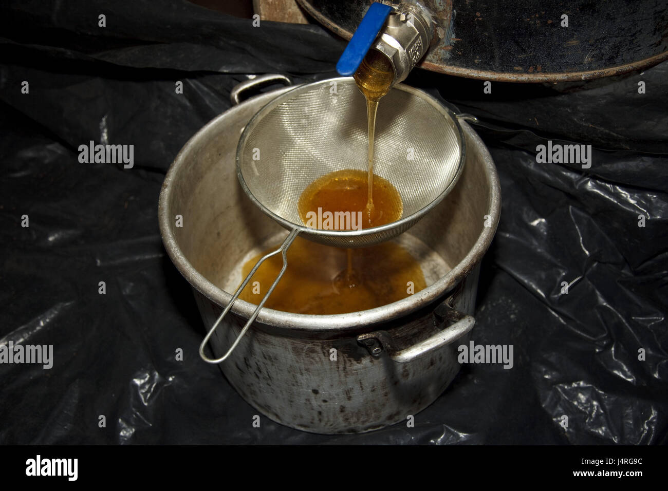 Guatemala, Jacaltenango, per la produzione di miele, Foto Stock
