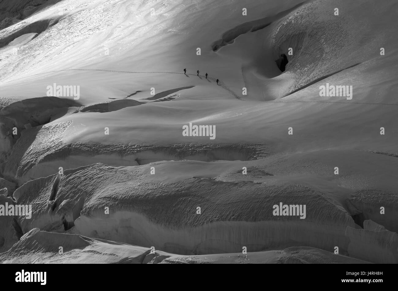 Corda, tour walker, quattro, ghiacciaio, il ghiacciaio crepe, light tuning, in bianco e nero, Svizzera, Canton Berna, della Vergine, col ghiacciaio di Aletsch, Foto Stock