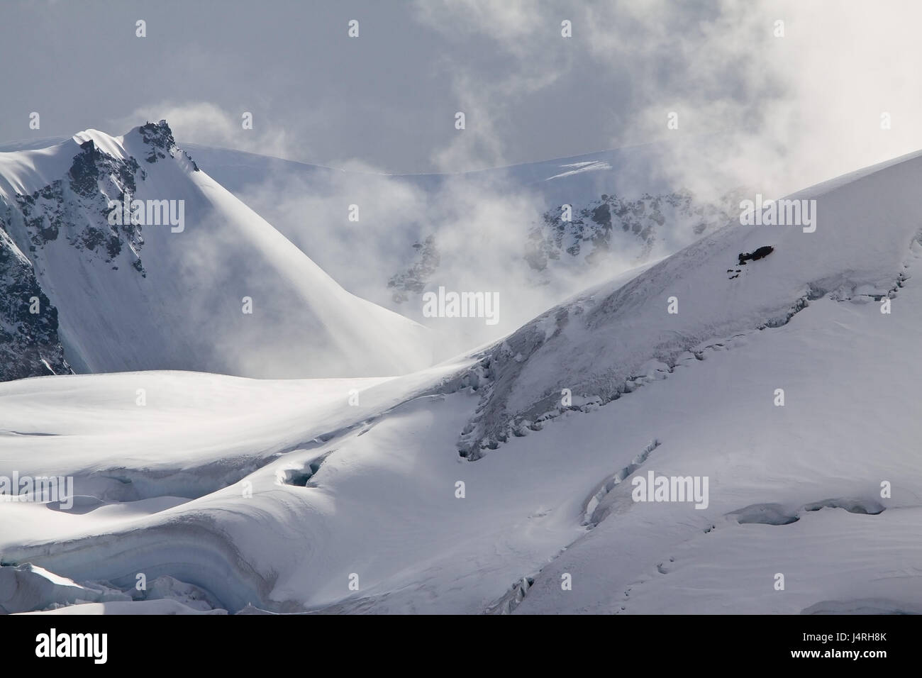 Glacier, summit, rock, innevate ragged nuvole, light tuning, Svizzera, Canton Berna, della Vergine, col ghiacciaio di Aletsch, Foto Stock
