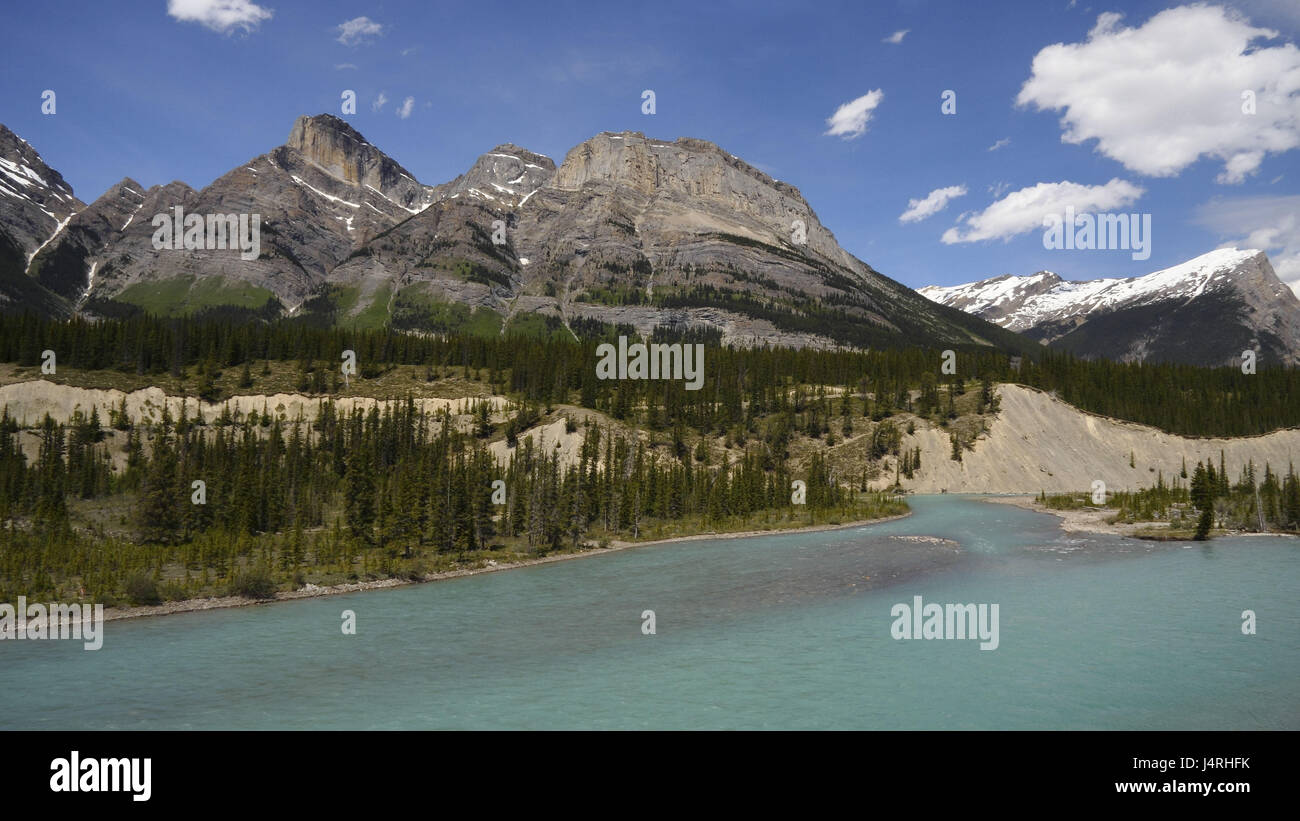 Flusso, turchese-blu, Riva, boscosa, scenario di montagna, panorama, Canada, provincia Alberta, Banff parco nazionale, montagne rocciose, Saskatchewan attraversamento fluviale, Foto Stock