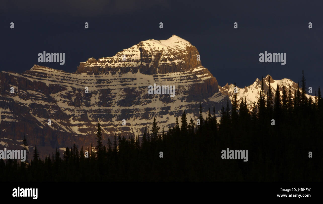 Panorama di montagna, scogliera ripida, innevate della luce della sera, light tuning, treetop, silhouette, Canada, provincia Alberta, Jasper National Park, montagne rocciose, Foto Stock