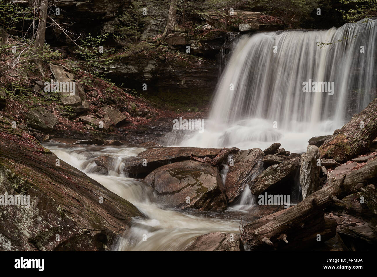 Ricketts Glen State Park, Benton, Pennsylvania, STATI UNITI D'AMERICA Foto Stock