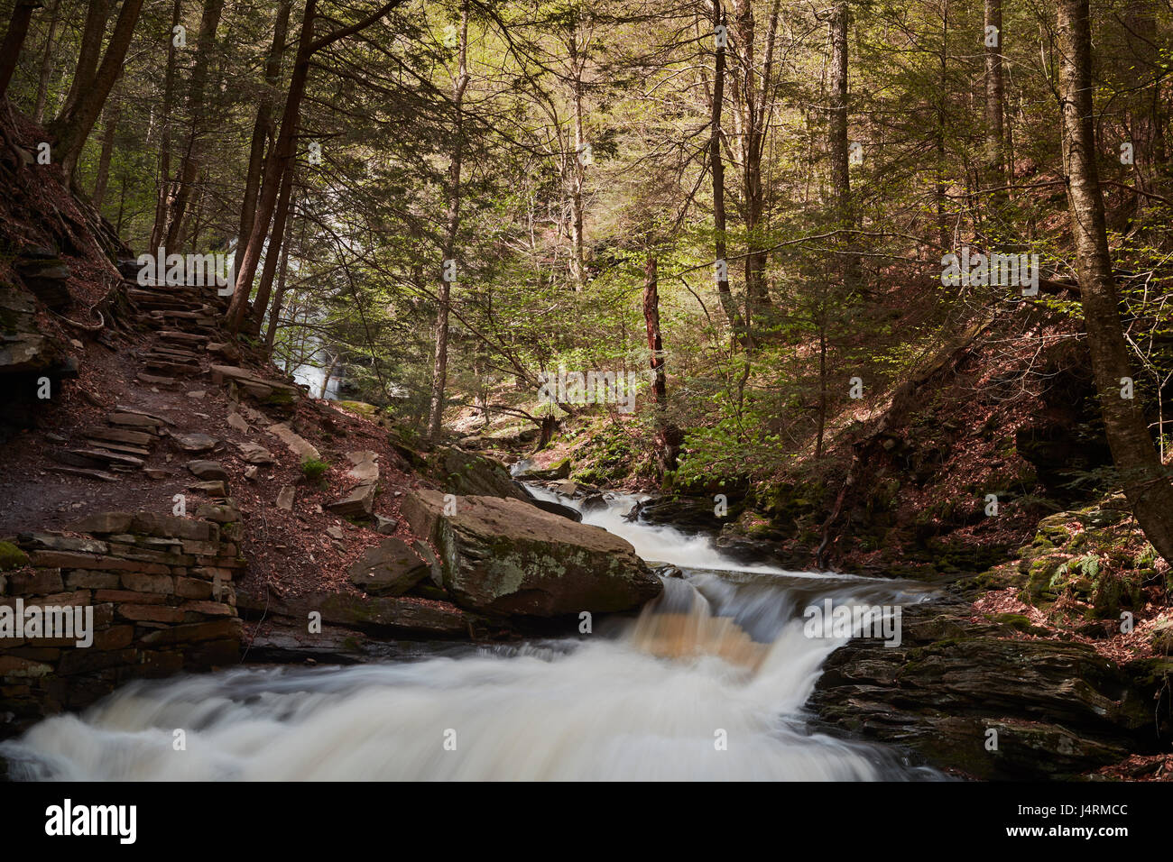 Ricketts Glen State Park, Benton, Pennsylvania, STATI UNITI D'AMERICA Foto Stock