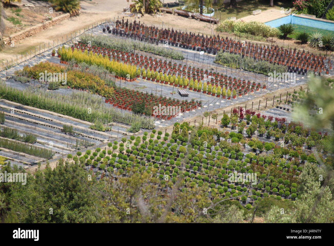 Vista aerea del giardino del mercato in Catalogna, Spagna mostra righe e righe di piante, arbusti e alberi piccoli. Foto Stock