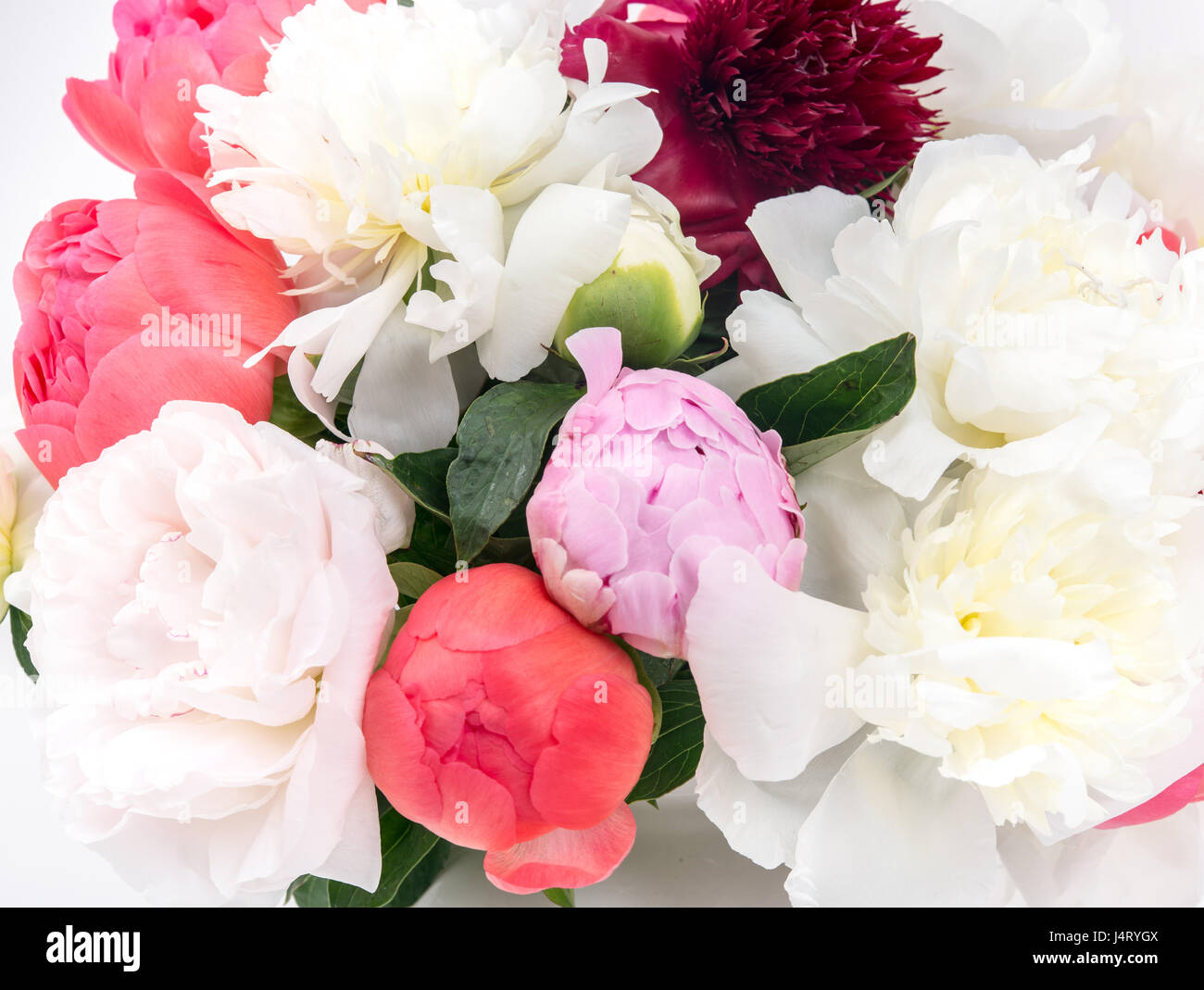 La seta rose bouquet di fiori su sfondo bianco Foto Stock