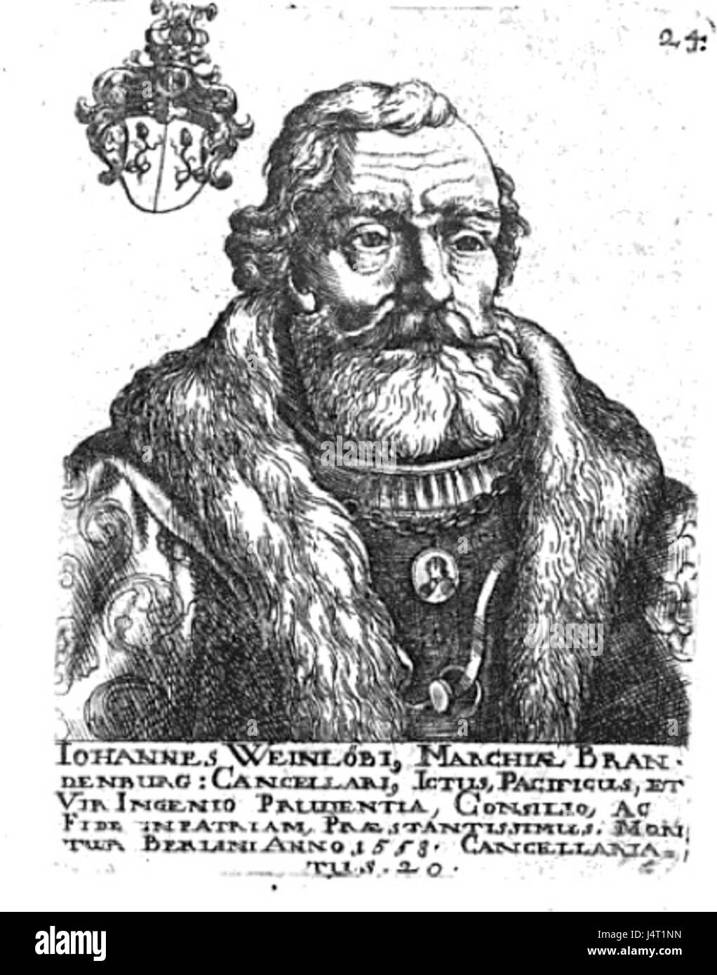 Weinleben Seidel Foto Stock