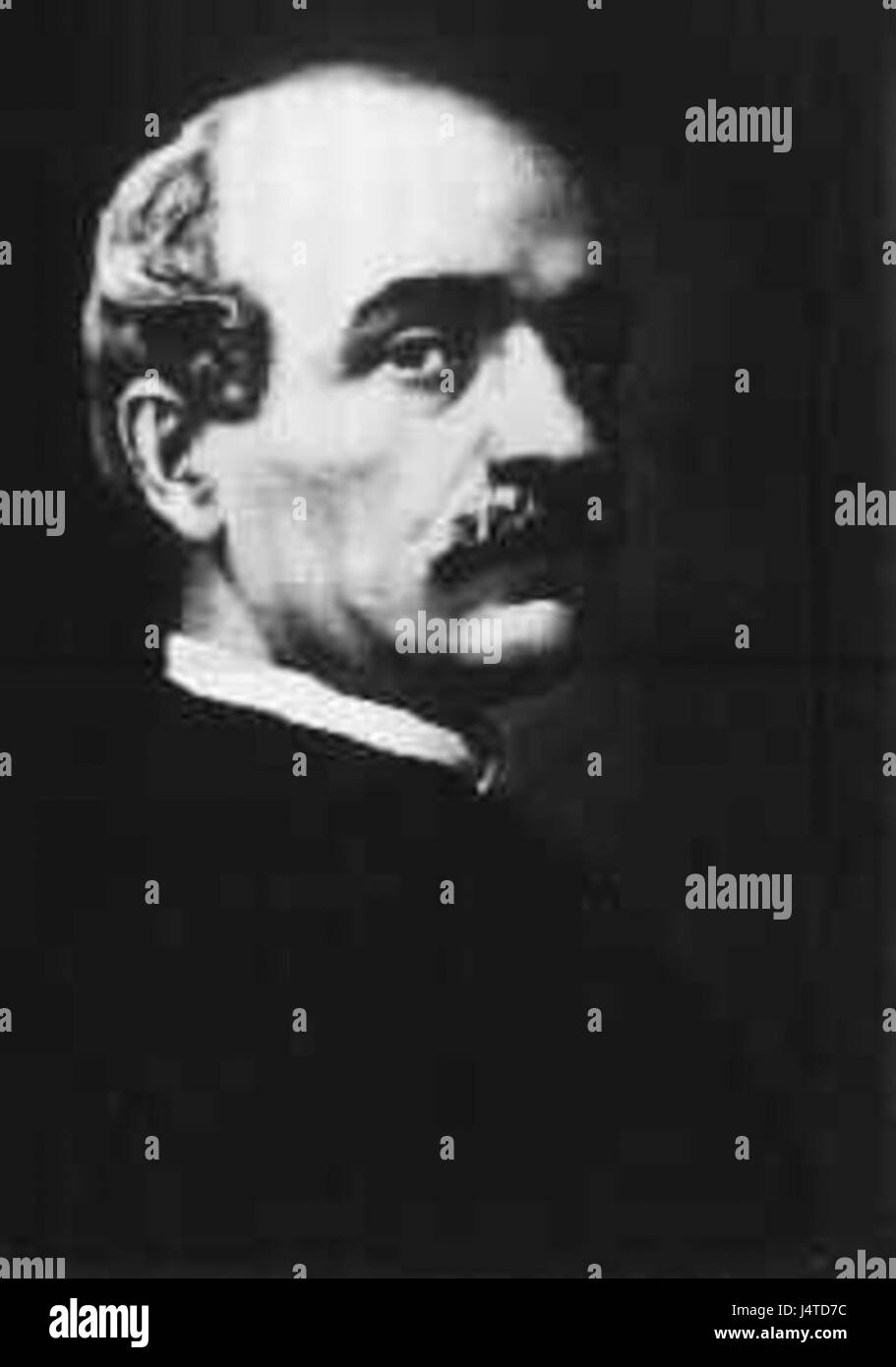 Vasile Alecsandri fu un importante poeta, drammaturgo e politico rumeno, noto per i suoi contributi alla letteratura e alla cultura rumena. Questa fotografia cattura Alecsandri in un momento significativo, evidenziando il suo status di figura nazionale durante il XIX secolo. Foto Stock