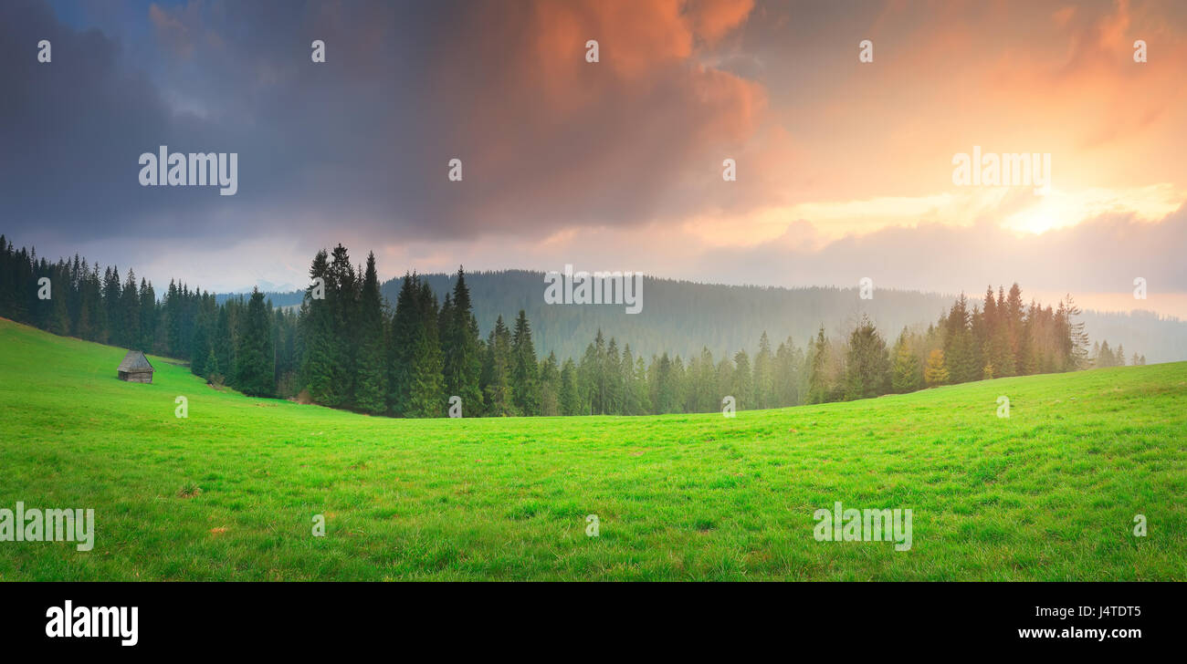 Tramonto sulla valle verde. Sole splende attraverso le nuvole colorate in verde erba. Tramonto paesaggio alpino. Vista panoramica a prato verde in sera sunlig Foto Stock