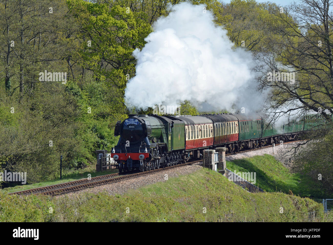 Flying Scotsman, BR 60103, (precedentemente LNER 4472) 4-6-2 Pacific steam loco trasporto treno storico sulla visita alla ferrovia Bluebell, West Sussex Foto Stock