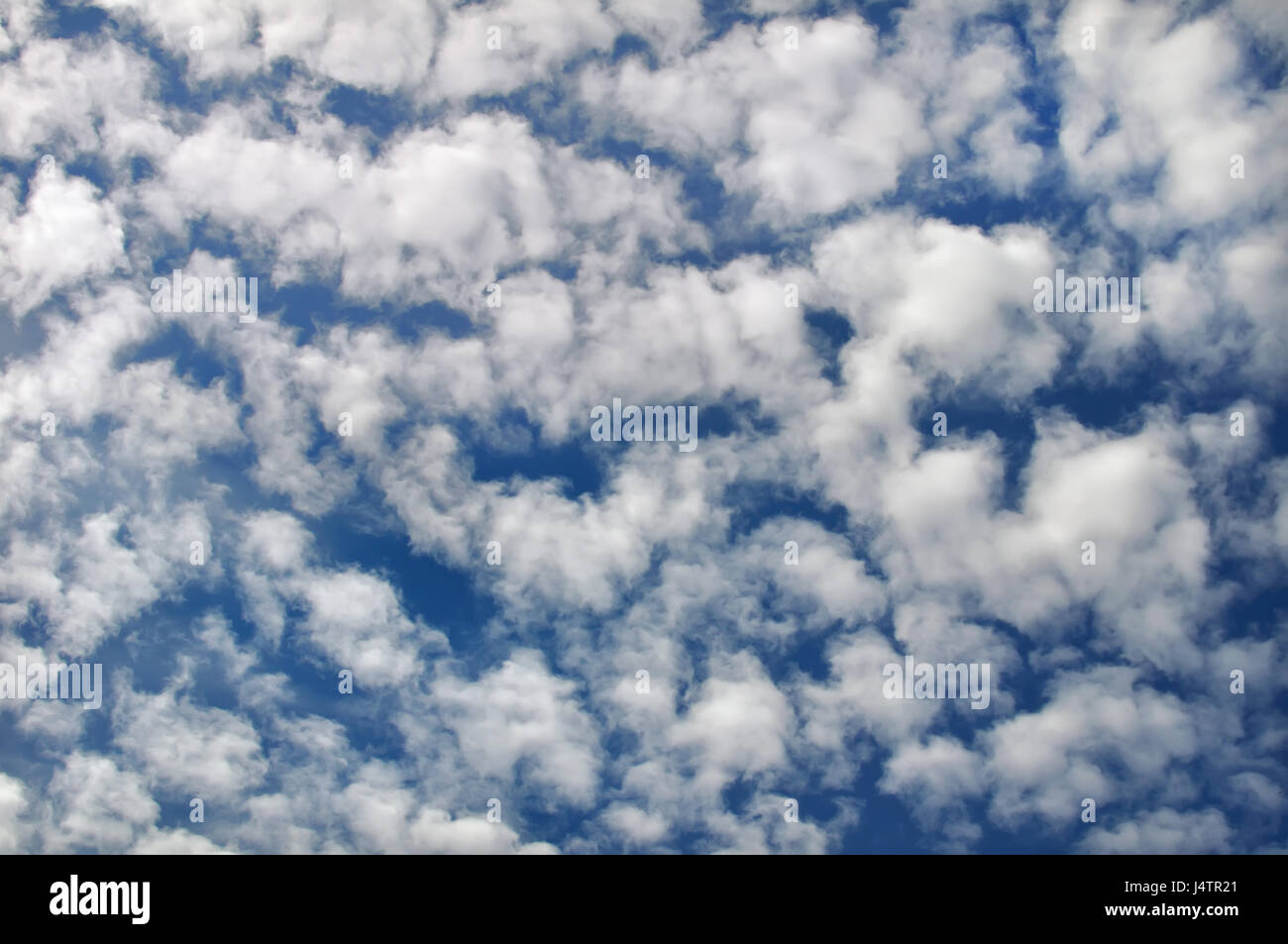 Il cielo blu con nuvole nel giorno di estate Foto Stock