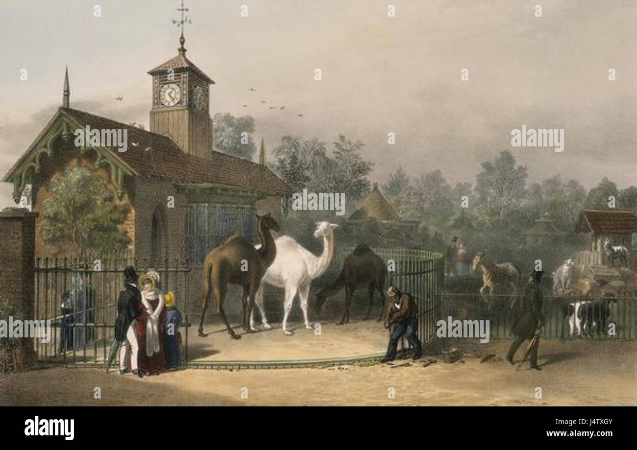 La vista del 1835 dei giardini zoologici offre una rappresentazione storica dell'architettura dello zoo dei primi anni del XIX secolo e mostre di animali. L'illustrazione mostra i giardini come erano a metà degli anni '1800 Foto Stock