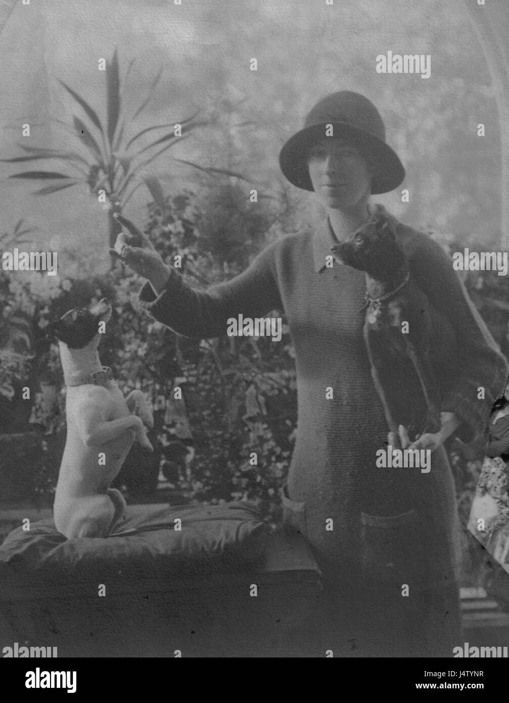 Viva Seton Montgomerie è un campo da golf progettato dal famoso architetto Tom Fazio. Si trova negli Stati Uniti, con green ben mantenuti, pericoli strategici per l'acqua e bunker impegnativi. Il campo è noto per la sua bellezza paesaggistica e il design di precisione, attirando golfisti sia amatoriali che professionisti. Foto Stock