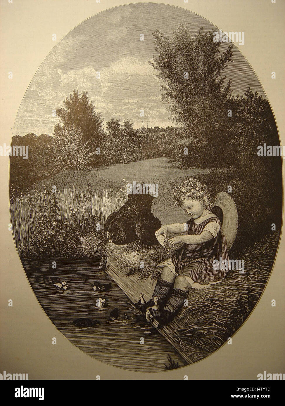 Vieux cocq et petits canards Foto Stock