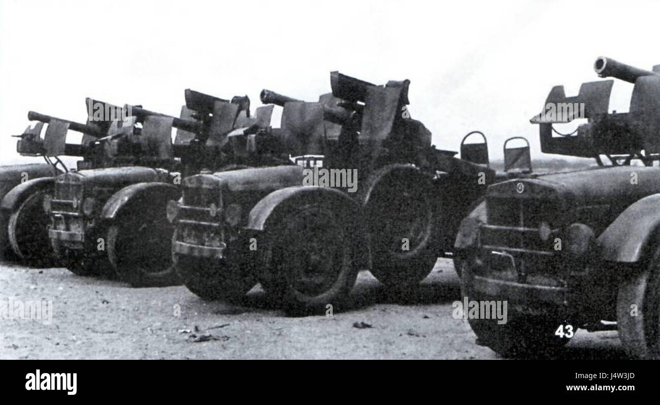 Questo si riferisce a un tipo di artiglieria o equipaggiamento militare, in particolare il TL37 75 mm, che è un tipo di cannone o di cannone. "Schierati" può indicare una formazione o un allineamento specifici di pezzi d'artiglieria a fini tattici. Foto Stock