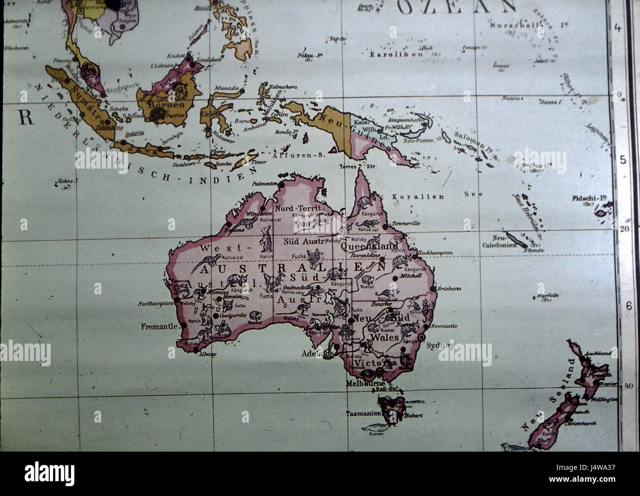 Weltkarte der Pelztiere, Australien Foto Stock