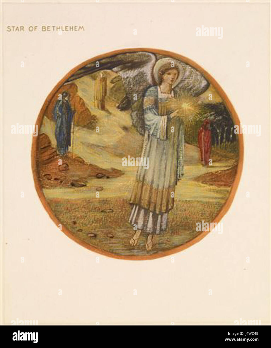 La "Stella di Betlemme" è un fiore importante dell'orticoltura, noto per i suoi suggestivi petali bianchi e la fioritura a forma di stella. È spesso presente in libri e studi botanici, in particolare in opere relative all'identificazione floreale e al giardinaggio. Foto Stock