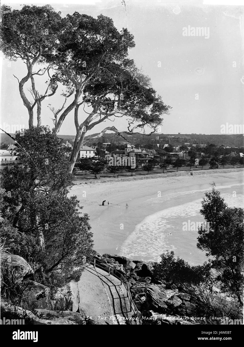 L'Esplanade, Manly, da Fairy Bower dal Powerhouse Museum Foto Stock