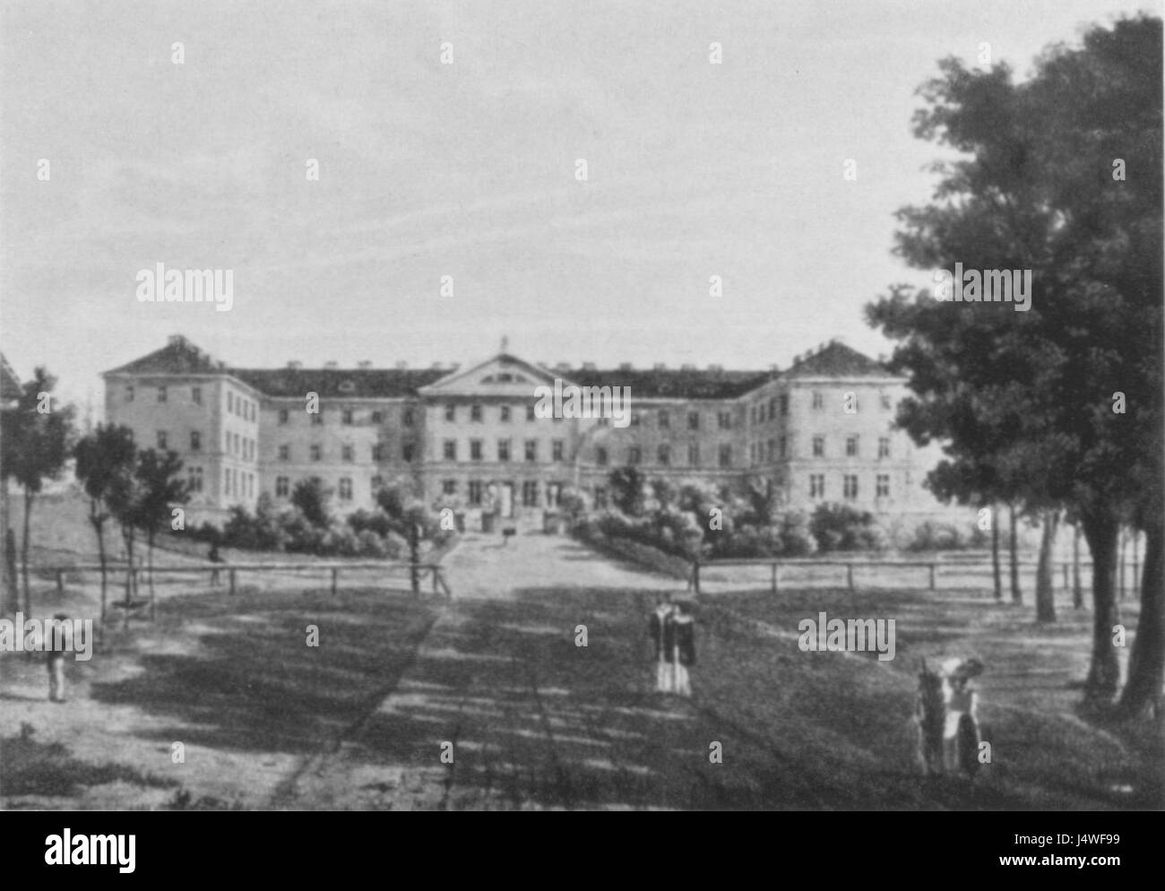 Wais 1955.2, 120 Foto Stock