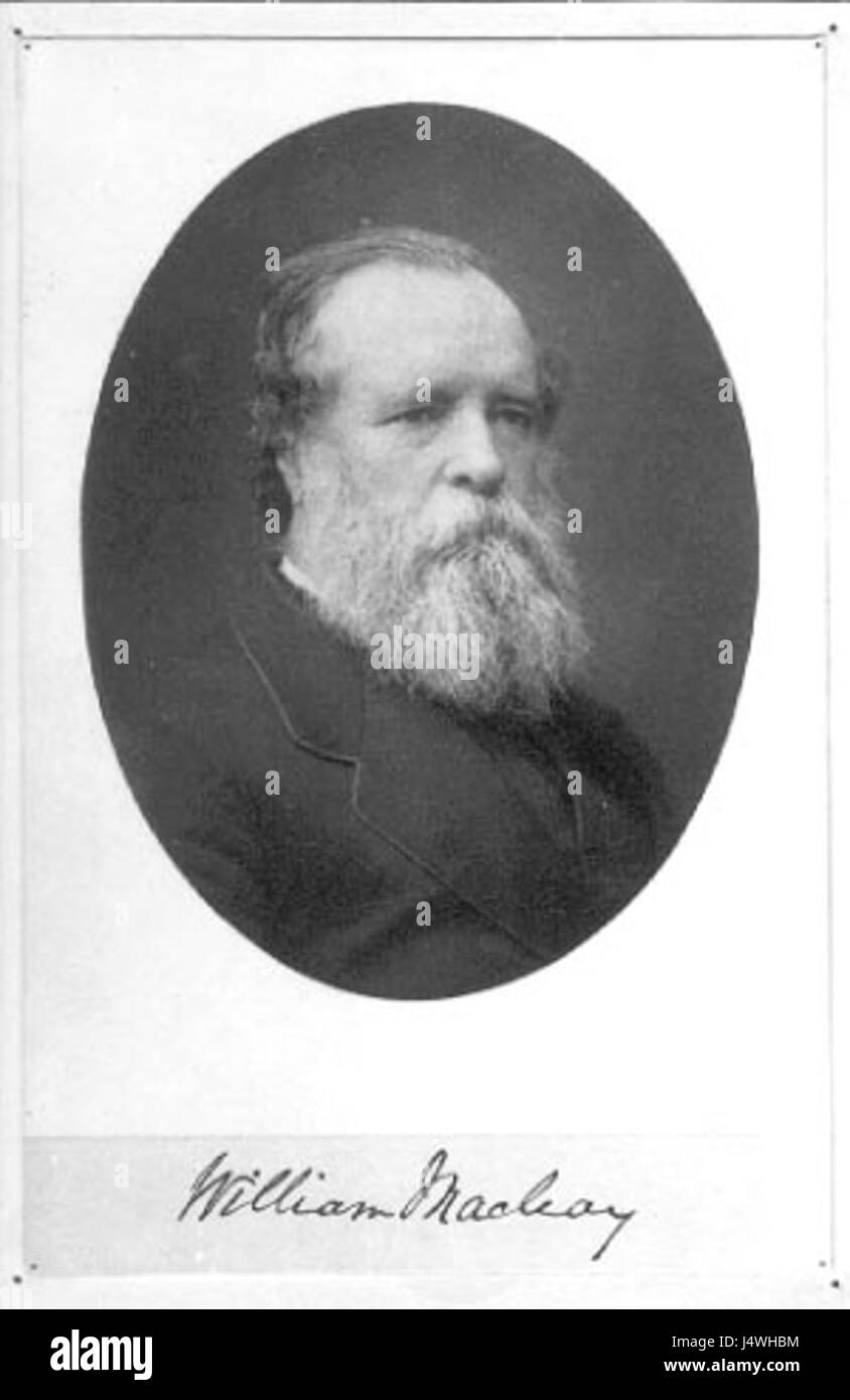 William Sharp Macleay è stato un entomologo e politico australiano di origine inglese, noto per i suoi contributi allo studio degli insetti e il suo coinvolgimento nella vita pubblica australiana durante il XIX secolo. Foto Stock