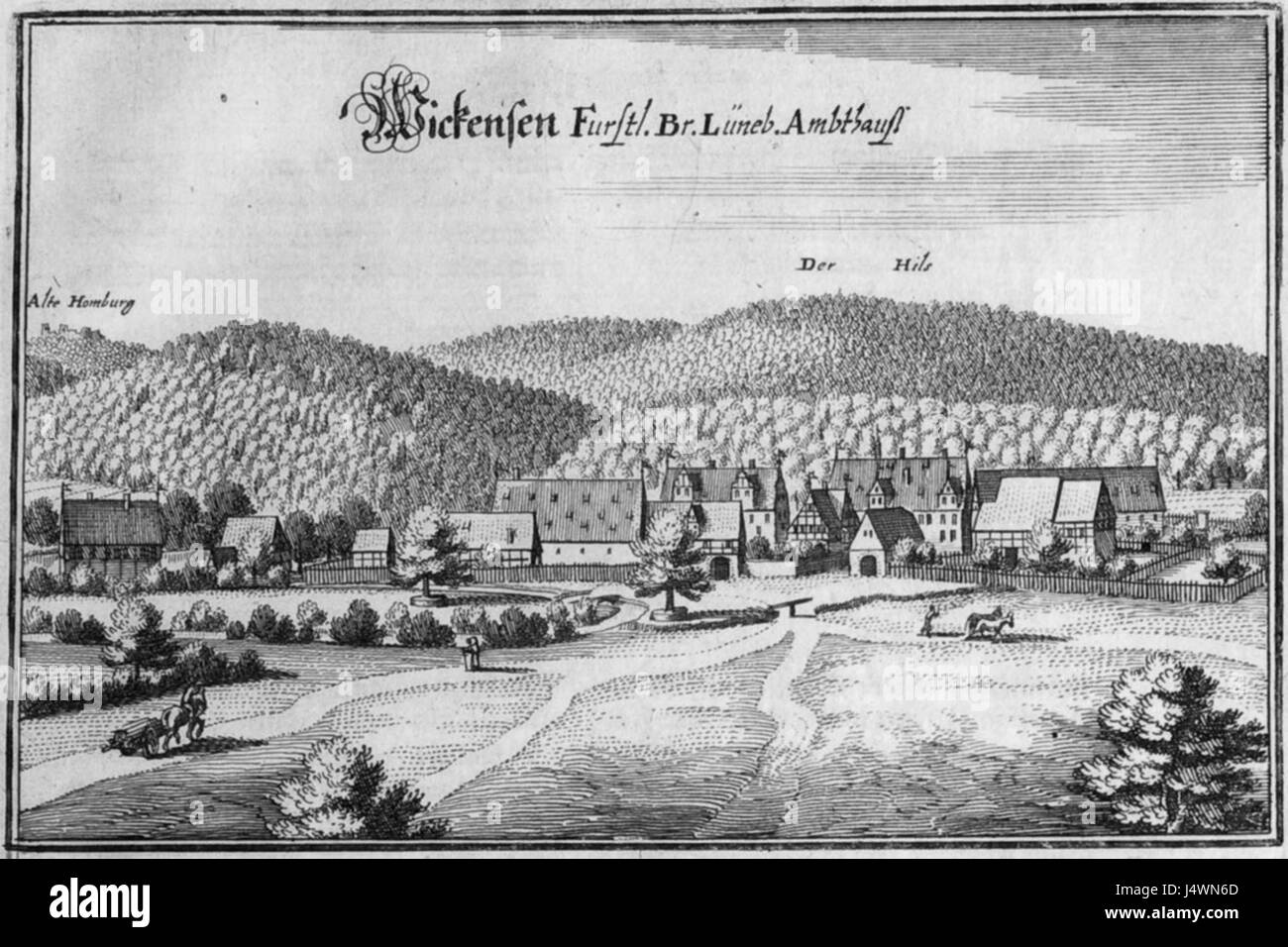 Wickensen, forse un'opera di Merian, si riferisce a un pezzo artistico o storico associato al famoso artista. Può rappresentare illustrazioni botaniche o studi sulla natura, comuni nel lavoro di Merian. Foto Stock