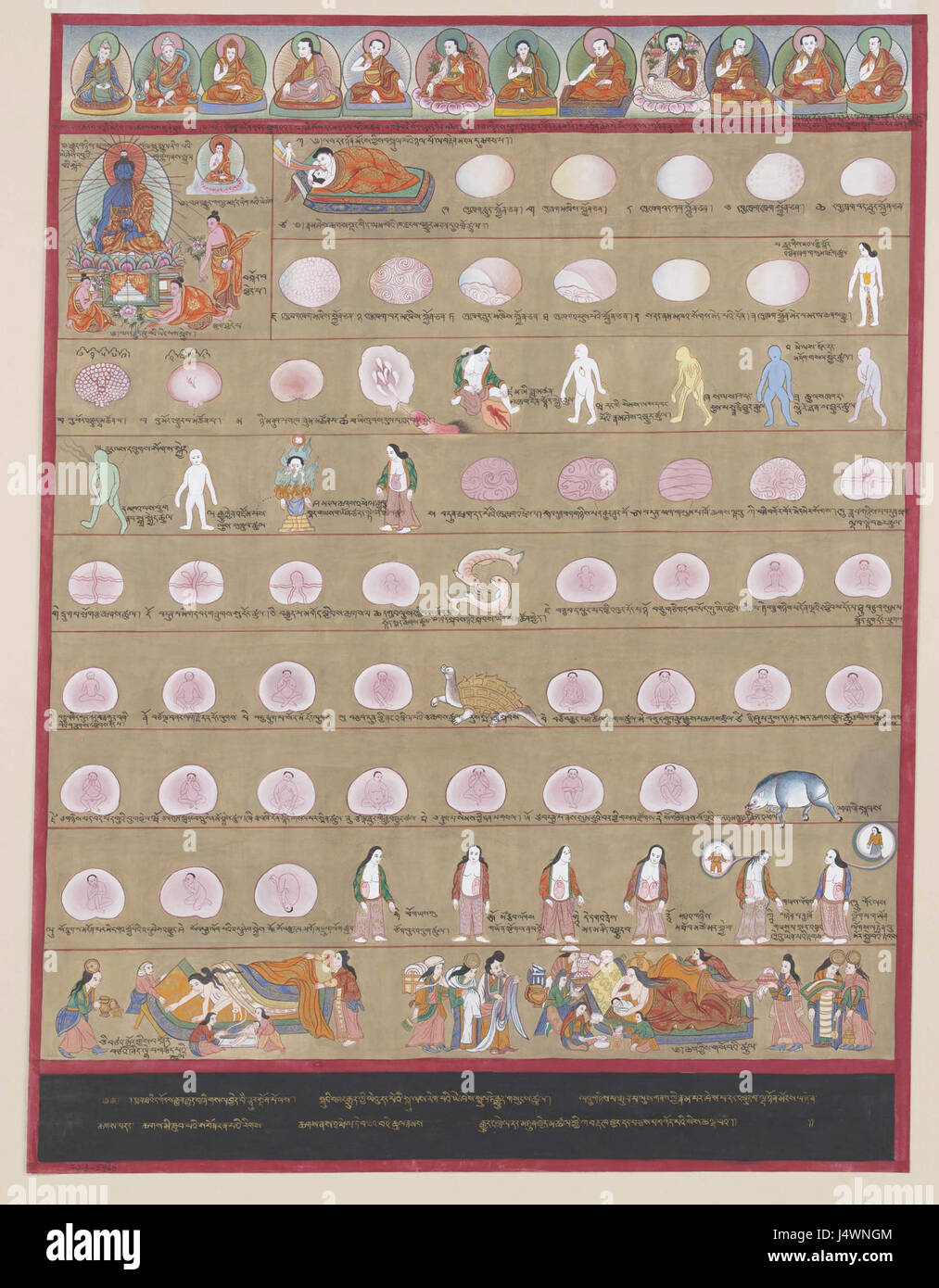 *Il Blue Beryl* si riferisce a un tipo specifico di gemma berilica, ma in questo contesto, è probabile che sia un riferimento agli studi di embriologia umana. Il lavoro potrebbe concentrarsi sulle prime fasi dello sviluppo umano o sull'applicazione dell'embriologia nella comprensione della vita umana. Foto Stock