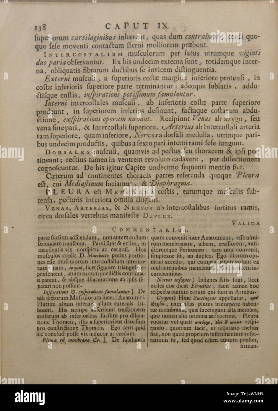 Syntagma Anatomicum di Vesling è un'opera anatomica significativa pubblicata nel XVII secolo. Fornisce descrizioni dettagliate dell'anatomia umana, formando una parte fondamentale dello studio anatomico iniziale, influenzato dal lavoro di scienziati precedenti e spianando la strada ai futuri progressi medici. Foto Stock