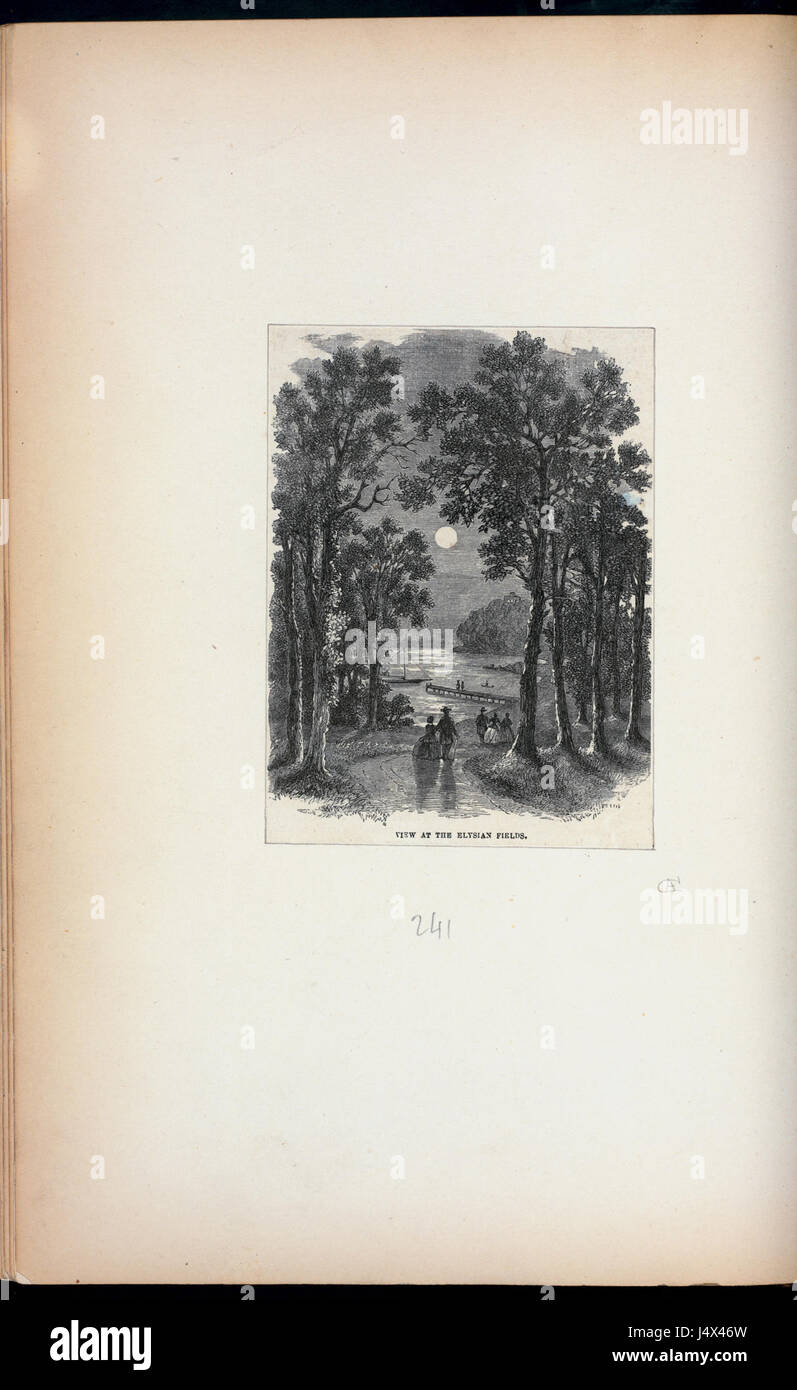 View all'Elysian Fields (NYPL ADE 255362 431270) Foto Stock