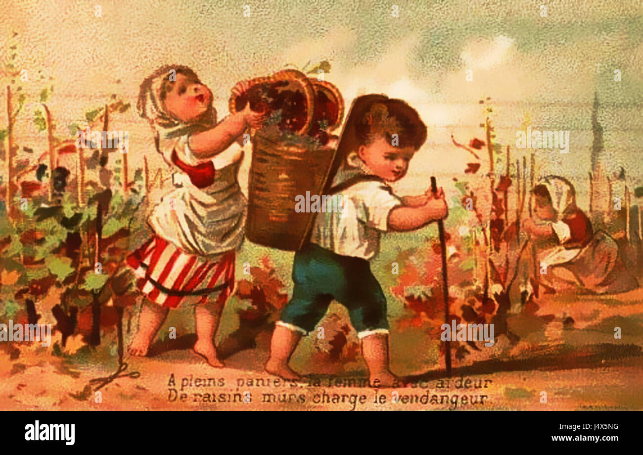 "Vendanges enfantines" si riferisce a un dipinto o a un'opera d'arte del 1939 che probabilmente raffigura bambini che partecipano alla vendemmia, un tema legato alla vita rurale e alle stagioni della vendemmia. Questa opera d'arte può riflettere temi di innocenza e lavoro nelle comunità rurali. Foto Stock
