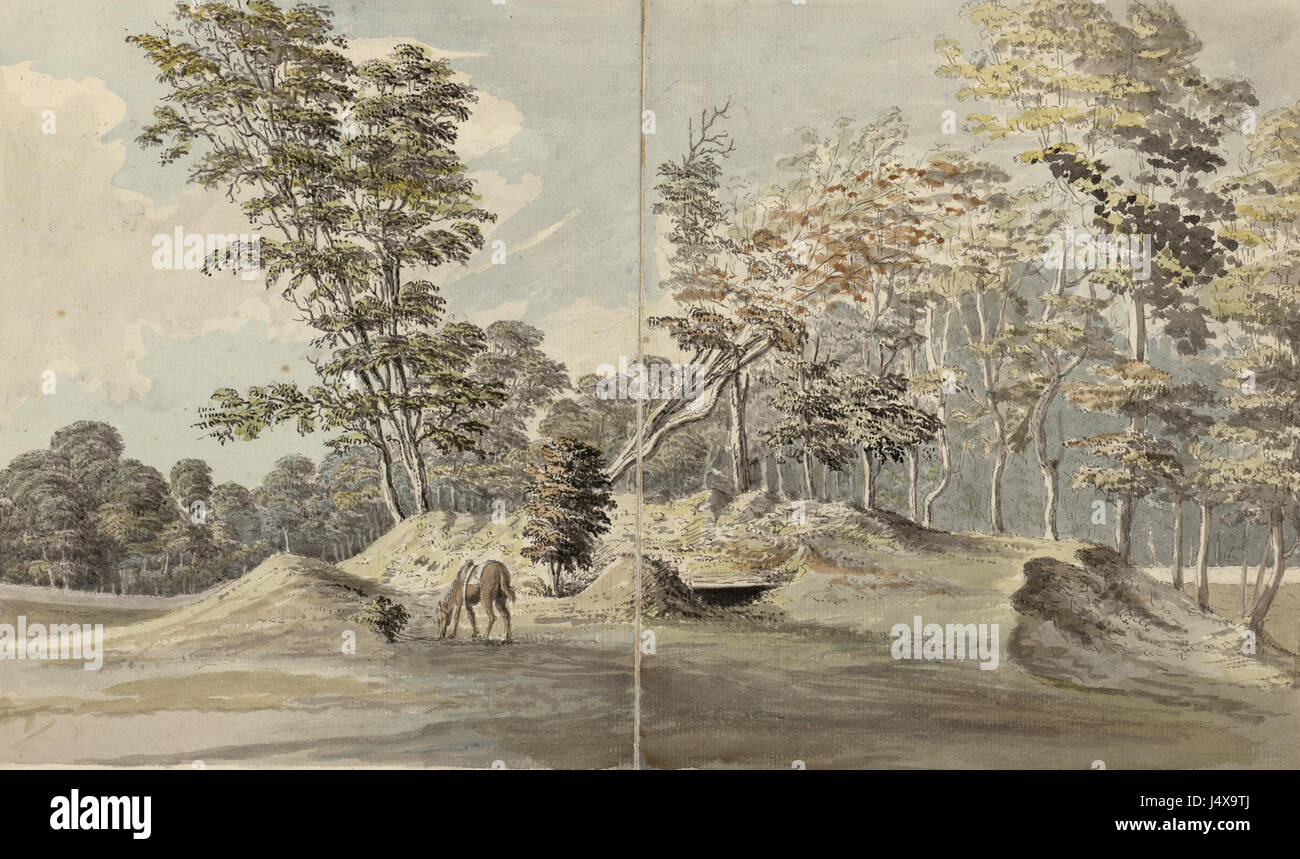 Una rappresentazione di un paesaggio gallese caratterizzato da colline ondulate, alberi e un cavallo, catturando la serena e naturale bellezza del Galles rurale. Foto Stock