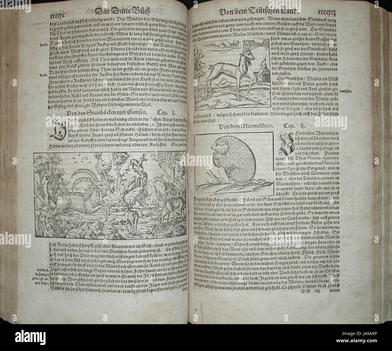 "Capre selvatiche e altri animali" è un'opera d'arte del 1578 che raffigura vari animali, tra cui capre selvatiche, che mostra il mondo naturale in uno stile artistico moderno. Foto Stock