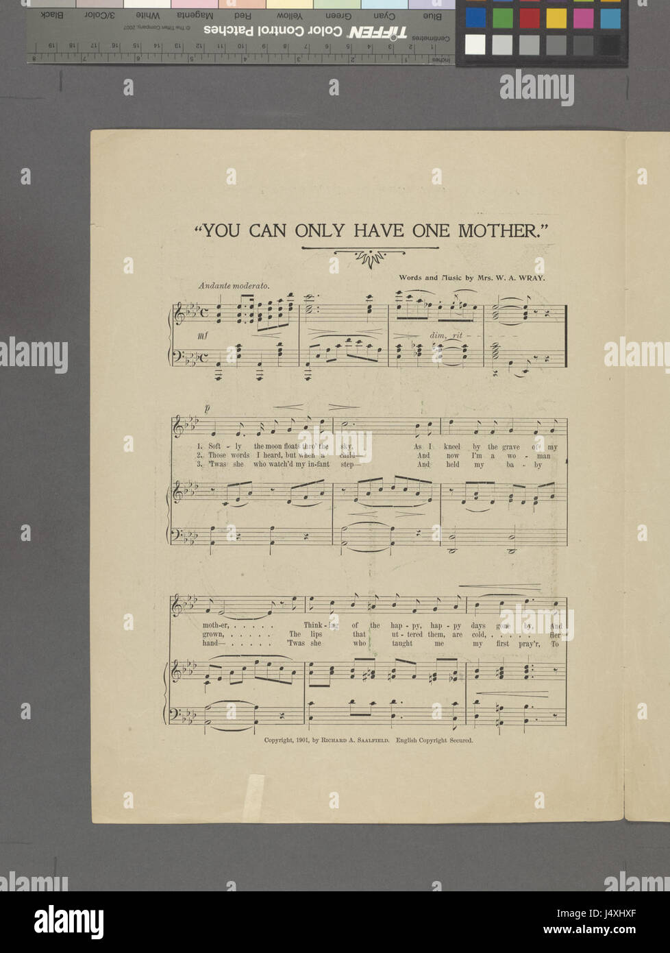 È possibile avere solo una moather (NYPL ADE 1936036 2001465) Foto Stock