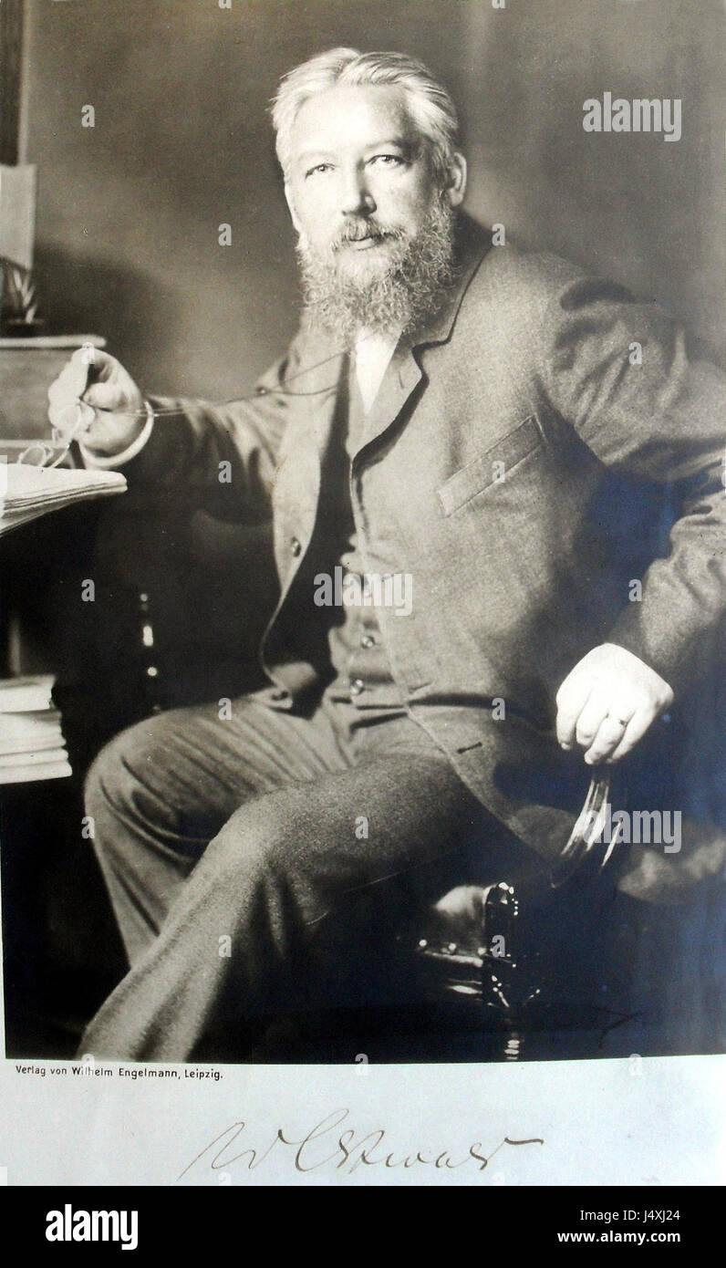 Wilhelm Ostwald è stato un chimico tedesco e premio Nobel noto per i suoi contributi alla chimica fisica, in particolare nello sviluppo della teoria della catalisi e della scienza del colore. Foto Stock