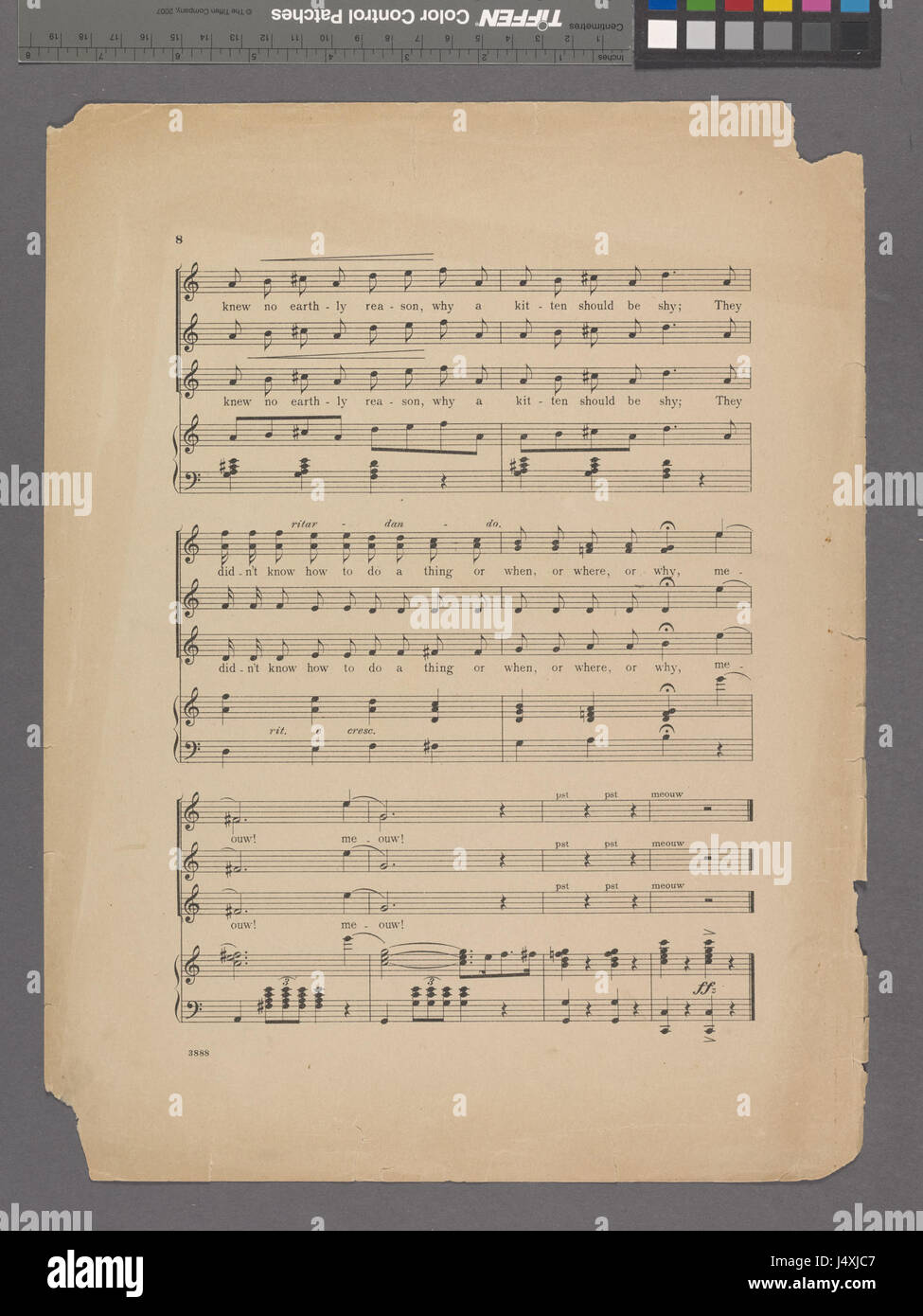 "The Cats Quartette" è probabilmente una rappresentazione visiva o artistica relativa a un gruppo di gatti, forse parte di un archivio della collezione Hades della New York Public Library, che offre informazioni sulle raffigurazioni animali nell'arte o nella cultura. Foto Stock