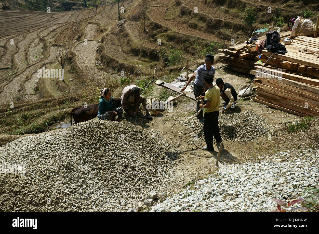 Gli uomini di conteggio rocce frantumate per pagare, il Sikkim, India Foto Stock