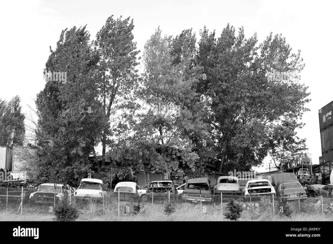 Questa immagine è rilevante per l'inquinamento ambientale da parte di Ankara. Foto Stock