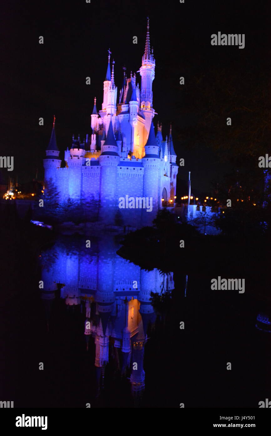 Walt Disney Castle Al Crepuscolo Foto Stock