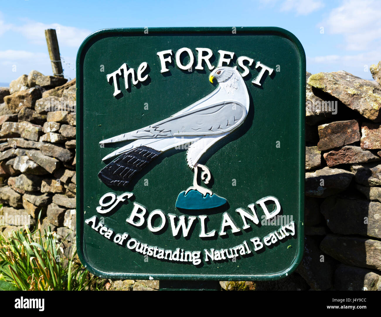 Foresta di Bowland, Lancashire, Inghilterra, Regno Unito Foto Stock