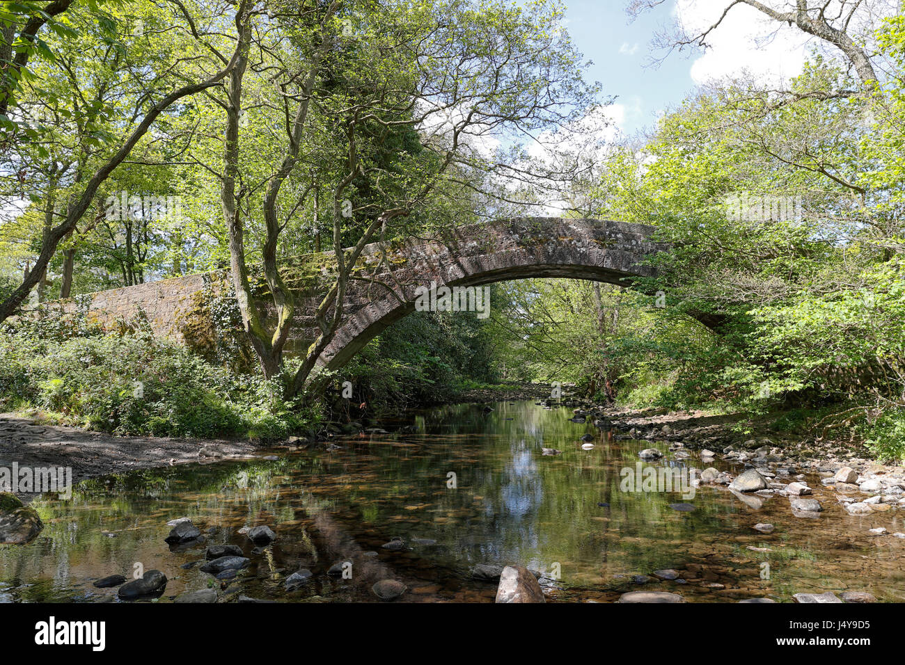 Pack Horse ponte che attraversa il fiume Washburn a Dobb park, vicino a Otley Leeds in una bella giornata di primavera. Foto Stock