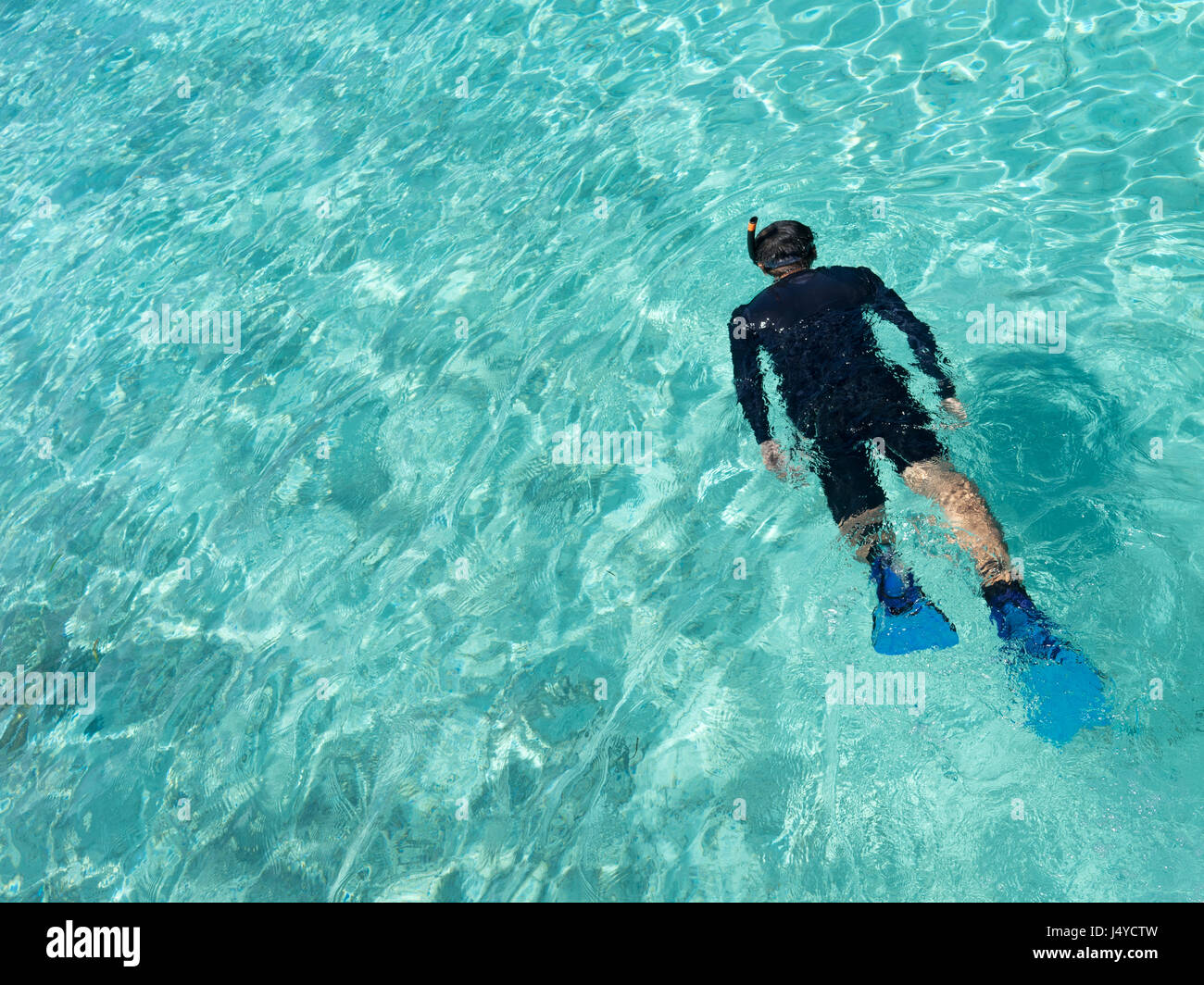 L uomo lo snorkeling in acque tropicali in vacanza Foto Stock
