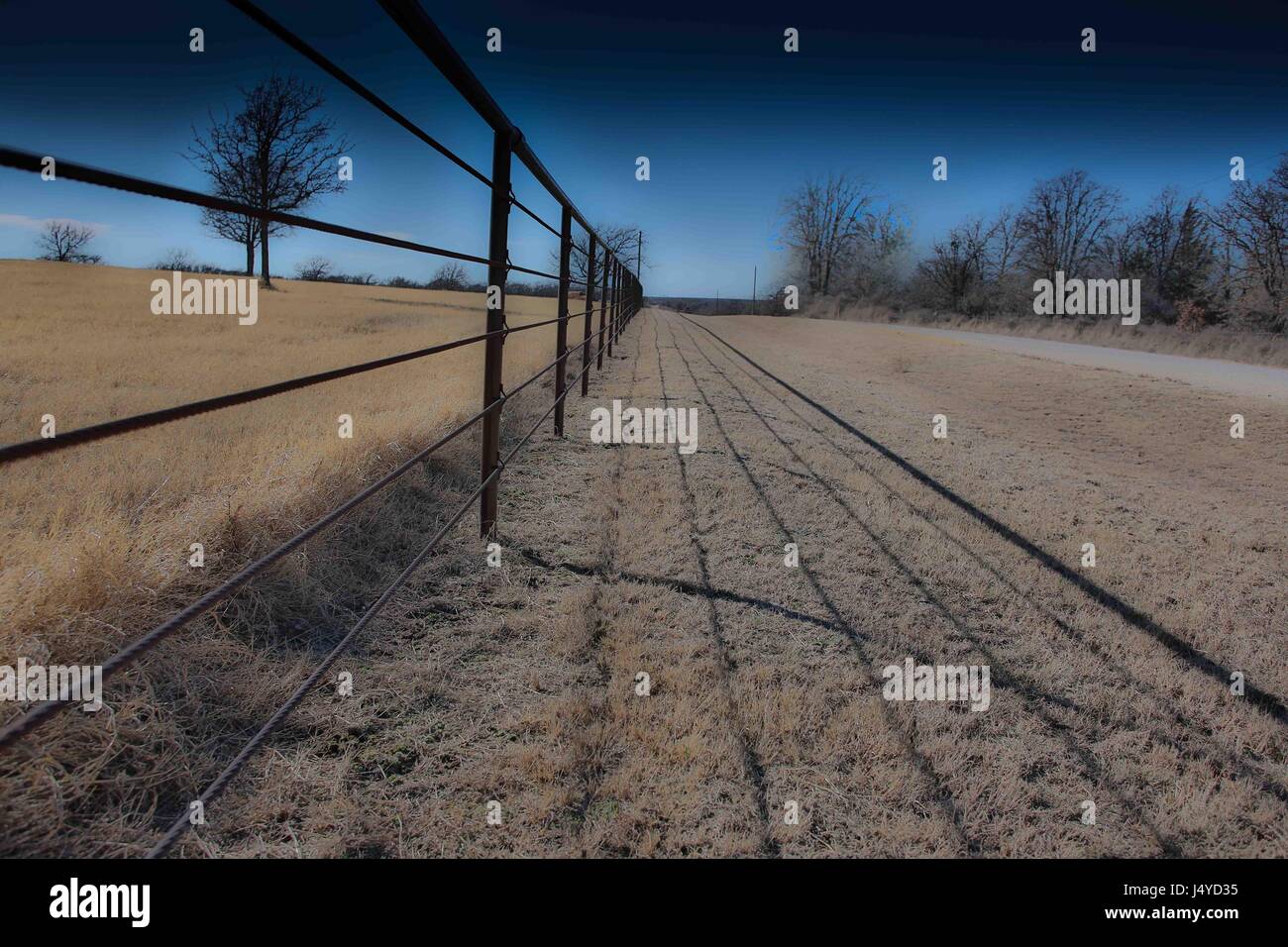 Texas asciutto erba dei pascoli Foto Stock