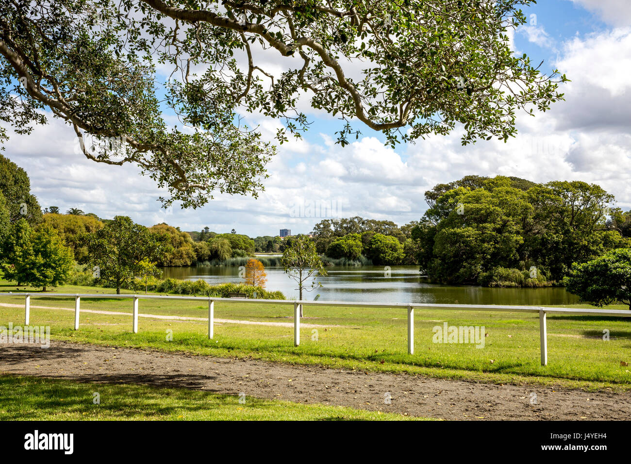 Il Centennial Parklands a Sydney sobborghi orientali, Nuovo Galles del Sud, Australia Foto Stock